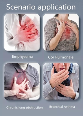 آلة موصل الأوكسجين المكثف O2 المحمولة منخفضة التدفق للطب 10L